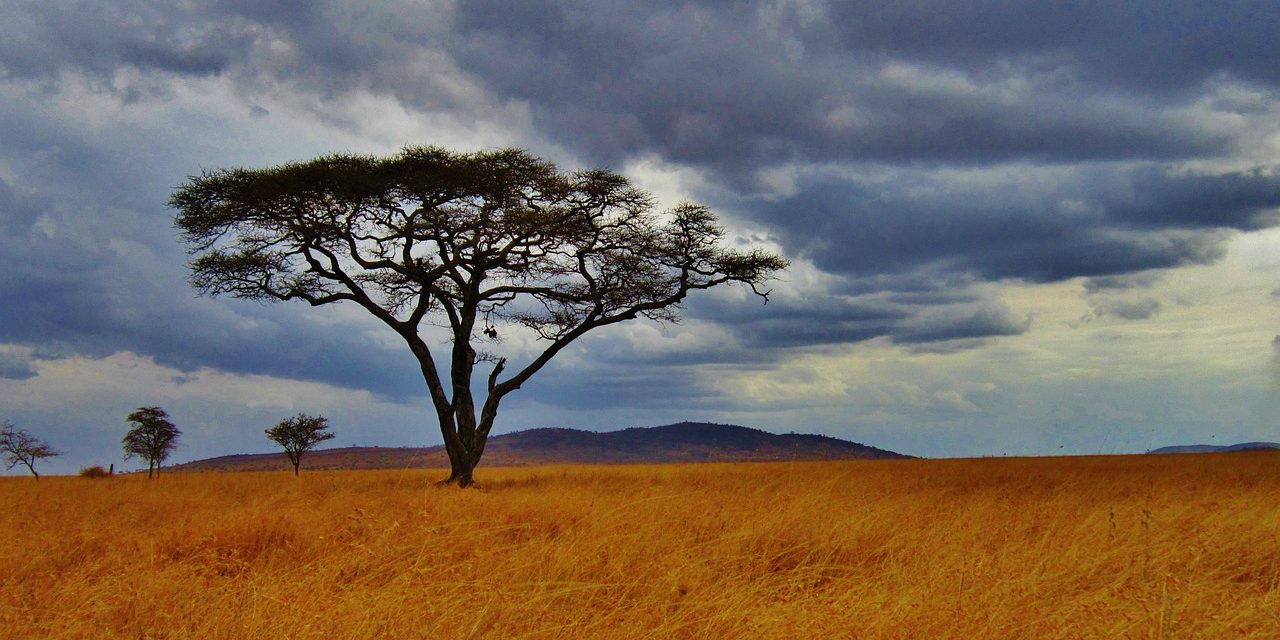 6-Day Masai Mara and Serengeti Safari Tour