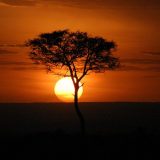 Sunrise at Masai Mara, Kenya