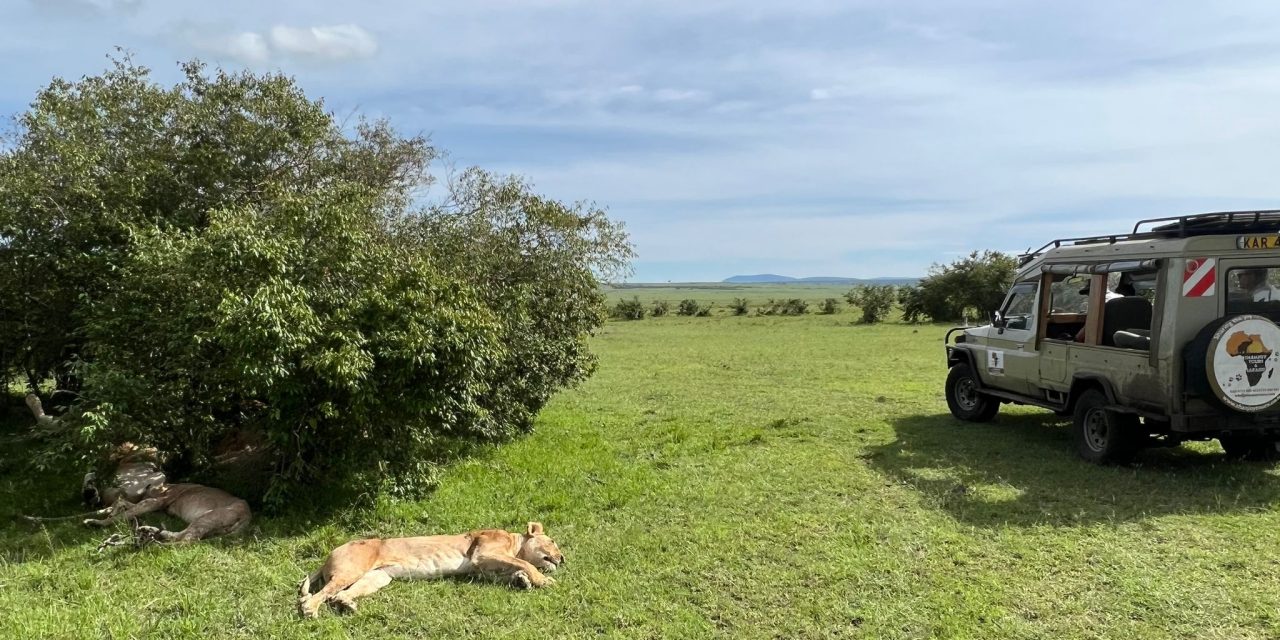 5 Days Masai Mara-Nakuru-Naivasha Safari