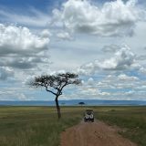 Game drive in Masai Mara